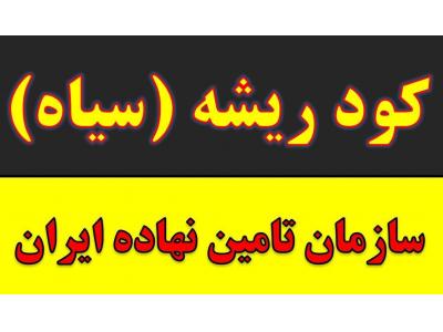 خریدار کود سولوپتاس-کود مرغی و پلت مرغی در مشهد