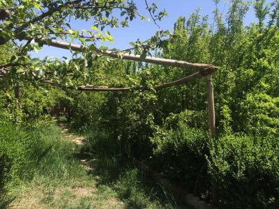 فروش باغ ویلا ۱۵۰۰ متری در شهریار (کد125)