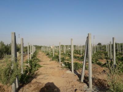 پایه بتونی - خرید پایه بتونی - تولید پایه بتونی - تولید کننده پایه بتونی - نصاب پایه بتونی - مزایا و معایب پایه بتونی - کارخانه پایه بتونی - کارخانه تولید کننده پایه بتونی - فروشنده پایه بتونی