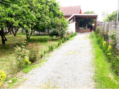 فروش خانه ویلایی در ماسال