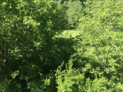 فروش باغ ویلا 1075 متری در خوشنام (کد280)