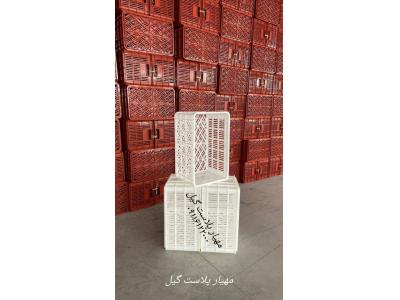 سبد حمل گوجه 