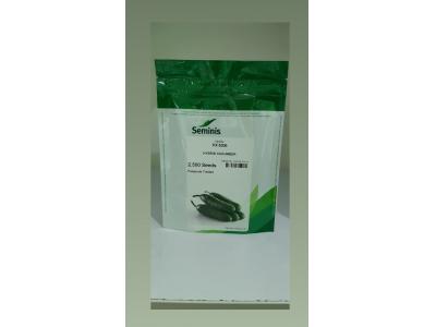 فروش بذر خیار ۸۳۰۶