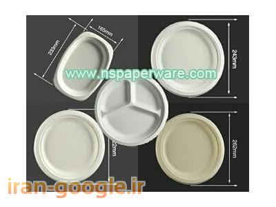 فروش انواع ماشین آلات تولید ظروف یکبارمصرف گیاهی و پلاستیکی 