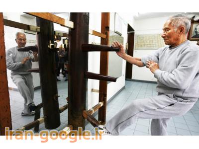 دستگاه کشش T180، آدمک چوبی وینگ چون،میت دیواری،میت باشگاهی،میت انفرادی،دستگاه tc