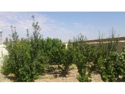  فروش ویلا با بنای بسیار شیک با سند 6 دانگ در صفادشت