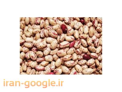 توزیع و پخش عمده لوبیا چیتی| فروش فله ای لوبیا |لوبیا قرمز