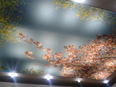 سقفهای دکوراتیو کششی باریسول