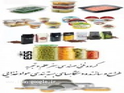 ساخت ماشین آلات خط تولید صنایع غذایی وبسته بندی ESS