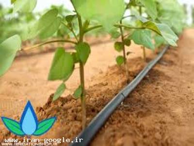 فروش نوار ابیاری