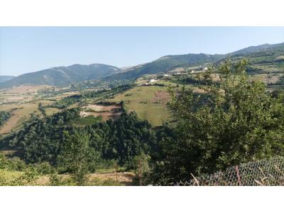 خرید زمین رودبار