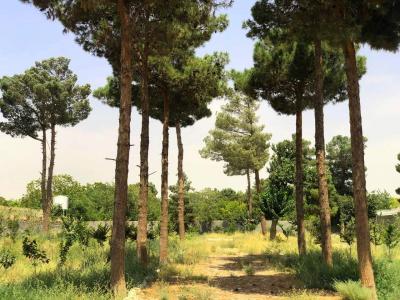 مهرشهر 5000 متر باغ ویلا ششدانگ باوجوز ساخت