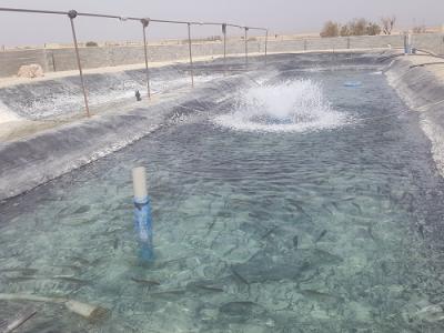 فروش و نصب  ورق های ژیوممبراین(پلیمیر)و ژیوتکستایل با بهترین کیفیت