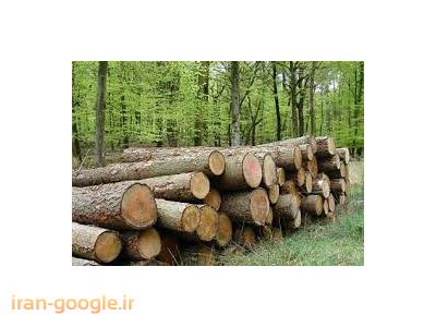 چوبی-تولید و فروش فرآورده های چوبی 