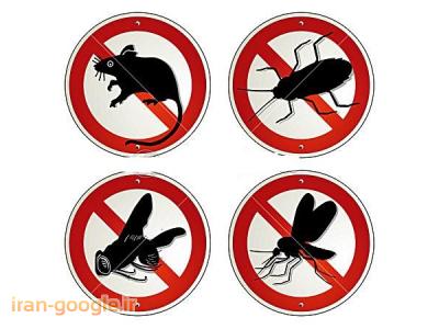مبارزه با حشرات موذی-شرکت سم شیراز