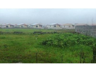 فروش فوری زمین ویلایی 280 متری در شمال کشور