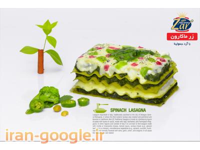 استودیو تخصصی عکاسی صنعتی و تبلیغاتی ناین ( 9 )