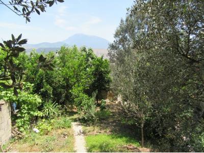 *ویلا باغ *شمال گیلان *فوری *زیر قیمت *