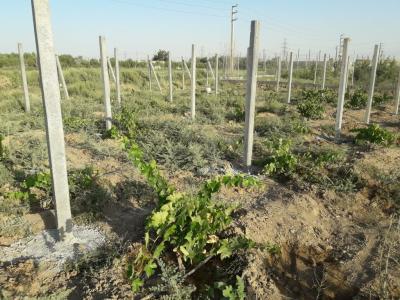 پایه بتونی - خرید پایه بتونی - تولید پایه بتونی - تولید کننده پایه بتونی - نصاب پایه بتونی - مزایا و معایب پایه بتونی - کارخانه پایه بتونی - کارخانه تولید کننده پایه بتونی - فروشنده پایه بتونی