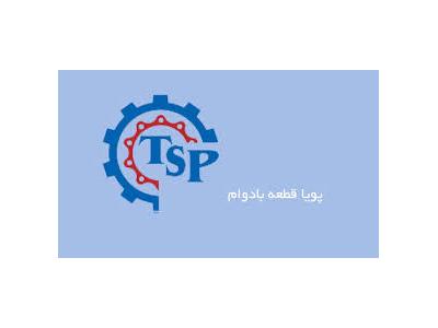 تولید واشرآلات خودرو TSP ، پخش واشرآلات خودرو TSP