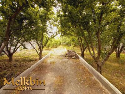 باغ 1000 متری با جواز ساخت در شهریار