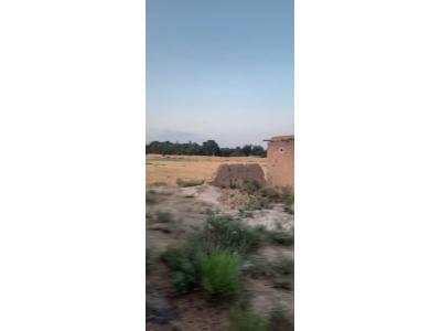 شش دانگ-فروش 25000 متر چهاردیواری در شریف آباد پاکدشت