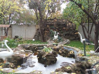 فروش 3000 متر باغ ویلای منحصر به فرد 