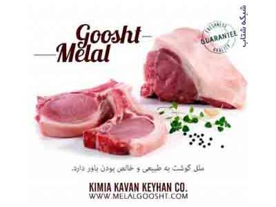 ران گوسفند- واردات گوشت شرکت کيميا کاوان کيهان ملل 9124470527