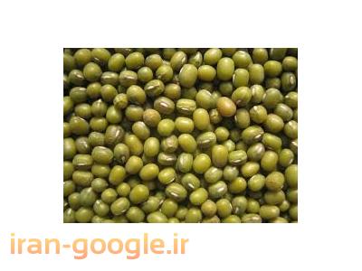 تهیه و توزیع حبوبات و غلات