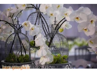 تشریفات و خدمات مجالس عروس پایتخت 