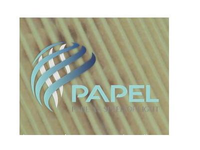 ساخت و تولید فیلتر هوا-شرکت پاپل وارد کننده کاغذ فیلتر هوای سنگین و سبک و کاغذ فیلتر روغن سنگین و سبک 