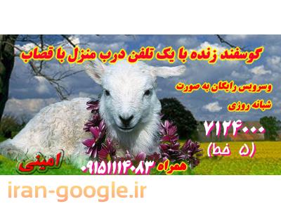 مراسم مشهد-فروش گوسفند زنده در مشهد 