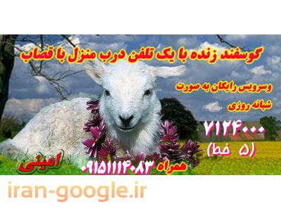 فروش گوسفند زنده در مشهد 