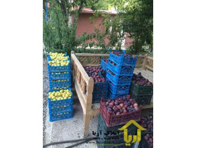 2150 متر بویلا باغ لوکس و شیک 