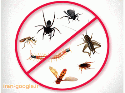 شرکت سم شیراز