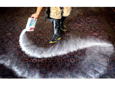 قالیشویی و رفوگری کاردان