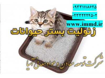 خرید گربه-فروش زئولیت در بستر حیوانات 