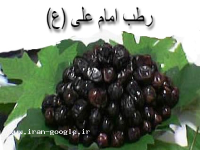 فروش رطب امام علی (ع) ، پخش و عرضه رطب و خرما