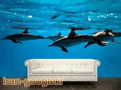 دکوراسیون آنیل دکور