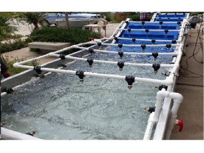 دستگاه شستشوی میوه و سبزی