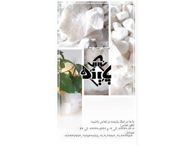 محصولات نمکی پاینده