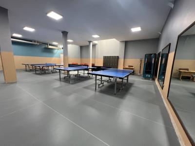 باشگاه پینگ پنگ ایران 