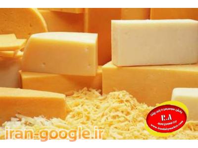 قیمت انواع پنیر پیتزا موزارلا فروزان