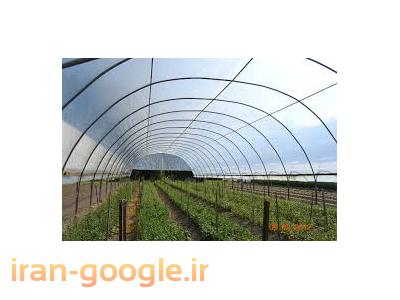 گلخانه ای-پوشش گلخانه ای تا عرض 12متر-بازرگانی ایرانیان پلیمر