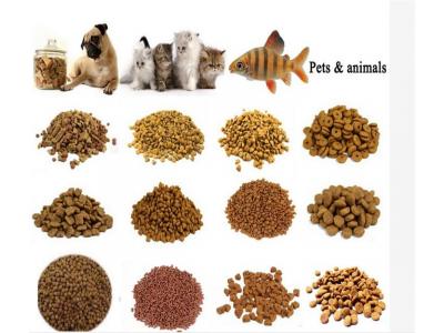 دستگاه پودر پاش-خطوط تولید غذای خشک حیوانات خانگی