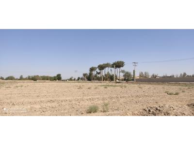 فروش زمین کشاورزی-فروش زمین 1000 متری در جوزدان | نجف آباد