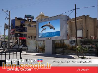 تلویزیون شهری ایلیا