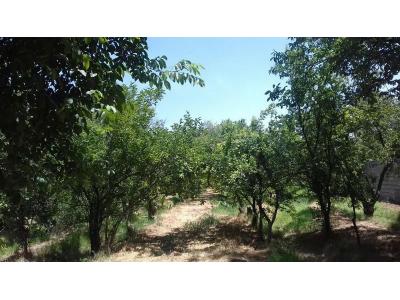 1600 متر باغ ویلای مشجر بسیار زیبا در  شهریار