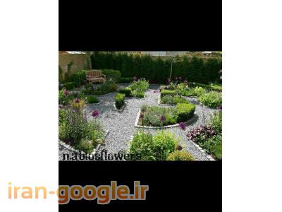 باغ گل محلاتی-فضای سبز و باغچه کاری 