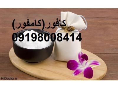 قیمت فروش  کافور